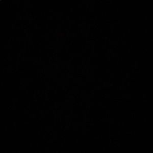 Meet your Posher, Zaraí